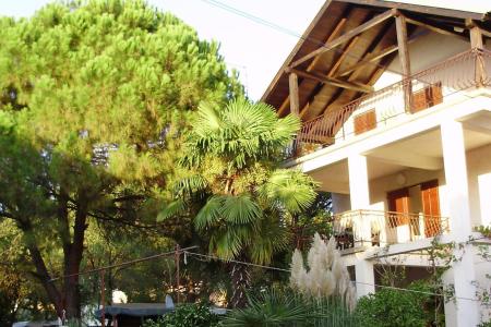 Apartamenty Luna Sv. Filip i Jakov Chorwacja