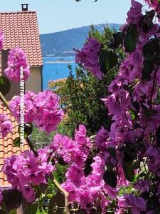 Apartamenty Vodopija od 55eur/2 os foto 4