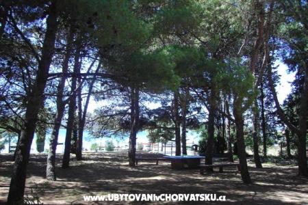 Apartamenty PARK foto 5