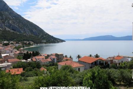 Apartamenty Gradina foto 5