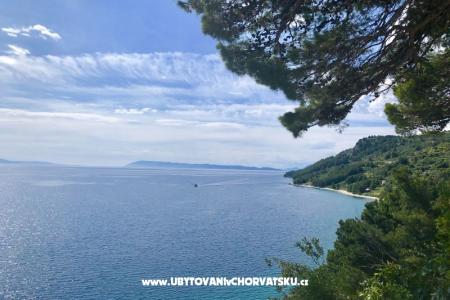 Apartamenty  Ines Igrane Chorwacja