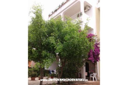 Apartamenty Lile Igrane Chorwacja