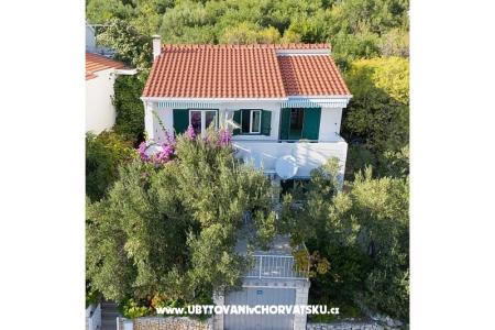 Villa Maslina Igrane Chorwacja