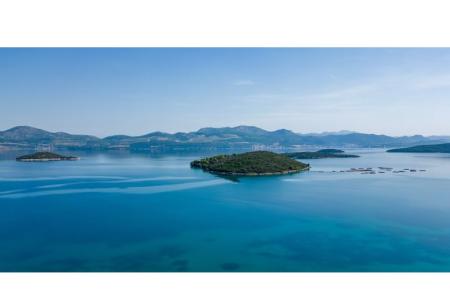 Apartamenty Deak foto 4