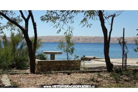 Apartamenty Ribarica foto 5