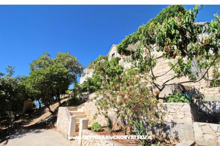 Apartamenty Ana – Korcula Chorwacja