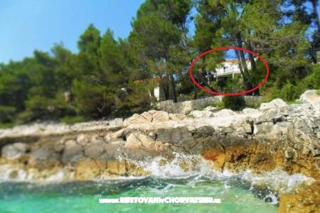 Apartamenty Marica Pecotić  Korcula Chorwacja