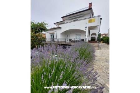 Dom Antica  wyspa Krk Chorwacja