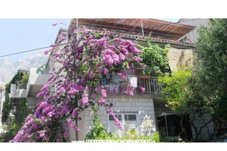 Apartamenty KATE Makarska Chorwacja