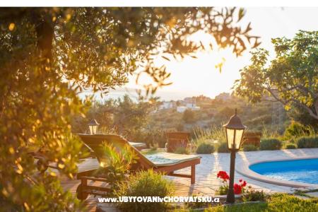 Rustic Oliveto foto 2