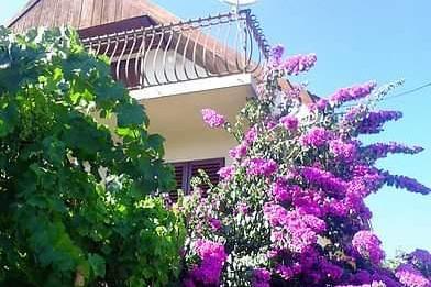 Dom Marino Marina - Trogir Chorwacja