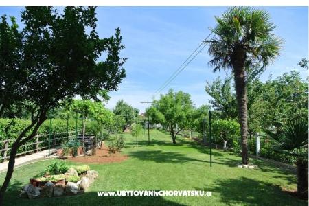 Apartamenty Sofia foto 3