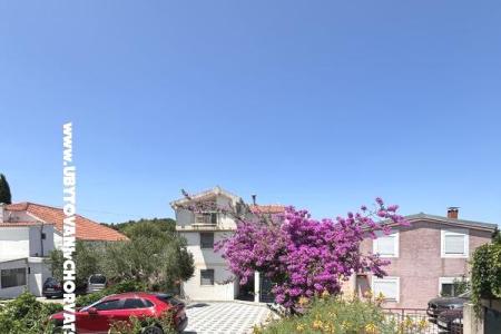 Apartamenty Kovačić wyspa Murter Chorwacja