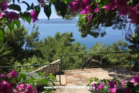 Apartamenty Daniela foto 3