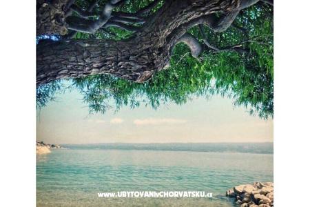 Apartamenty-pansion Julija foto 4