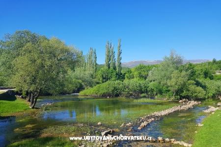 Apartamenty Tomic foto 3