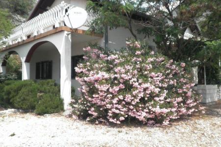 Dom wakacyjny Beli foto 2