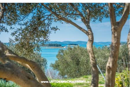 Plava Laguna Mobile  Homes foto 3