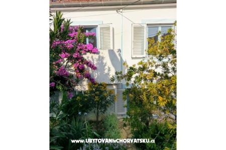 Apartamenty Marija-Tkon foto 4