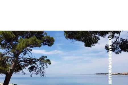 Apartamenty Ivan  foto 5