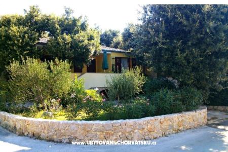 Apartamenty Dani Petrcane Chorwacja