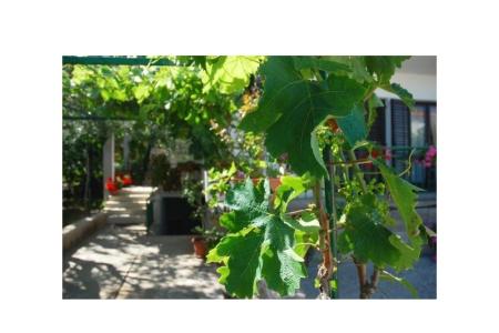 Apartamenty Danica foto 3