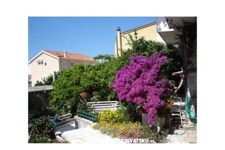Apartamenty - Minka i Vite Podgora Chorwacja