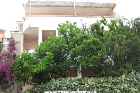 Apartamenty Flora Podgora Chorwacja