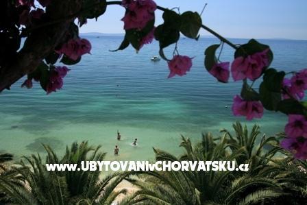 Apartamenty Palme foto 3