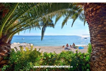 Apartamenty Palme foto 4