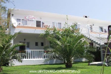 Apartamenty Antonia foto 3