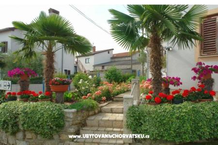 Apartamenty Milokanović foto 4