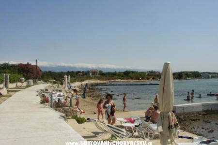 Apartamenty Villa Goga  foto 2