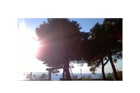 Apartamenty Šime foto 3