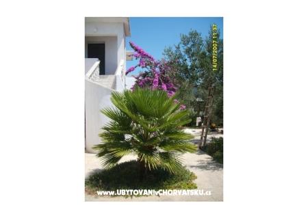 Apartamenty Šime foto 5