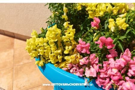 Apartament Sandra foto 5