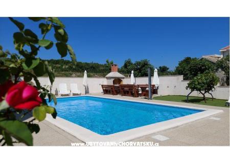 Home or Apts Miočić without owner foto 2