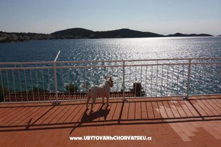 Apartamenty Bebe foto 5