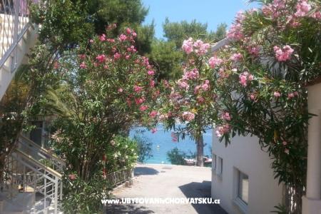 Dom wakacyjny Milenka foto 4