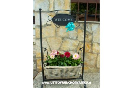 Apartamenty Marko Sveti Petar Chorwacja