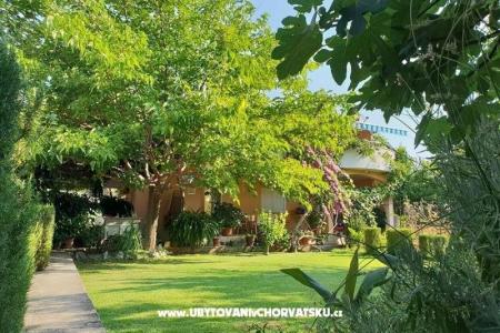 Apartamenty Bijelić Trogir Chorwacja