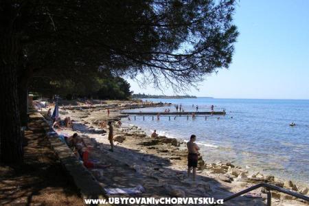 Apartamenty San Pelegrin Umag Chorwacja