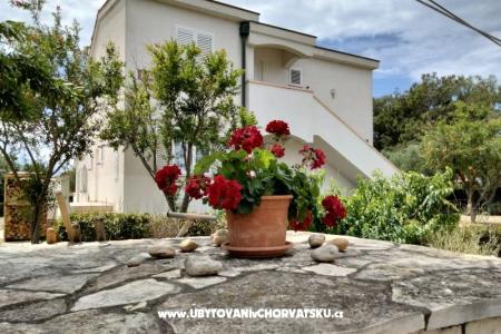Apartamenty Budija / Viola wyspa Vir Chorwacja