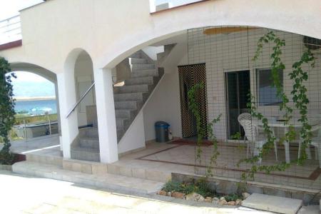 Apartamenty Nedić wyspa Vir Chorwacja