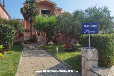 Apartamenty Riva Zadar Chorwacja