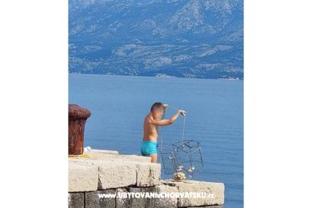 Apartamenty Roko  foto 4