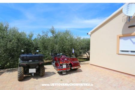 Snježana Zadar Chorwacja