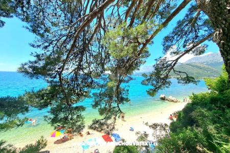 Dom wakacyjny Burmaz - Zaostrog – Zaostrog Chorwacja