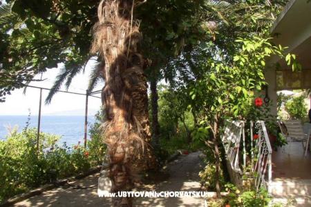 Apartamenty Palma foto 3