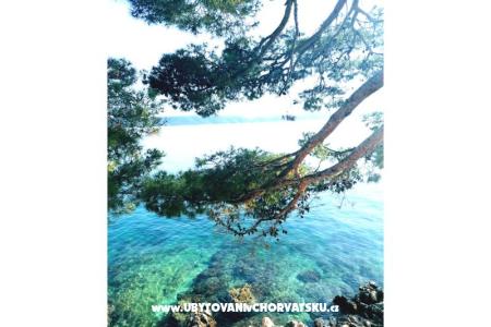 Apartamenty Anita Jelaš Veža foto 3